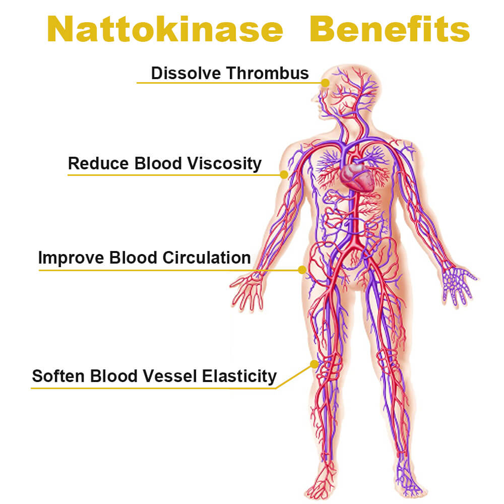 Misspep Nattokinase Supplement 4000 FU Per Serving Vascular Clean and HDL Booster, 90 Capsules